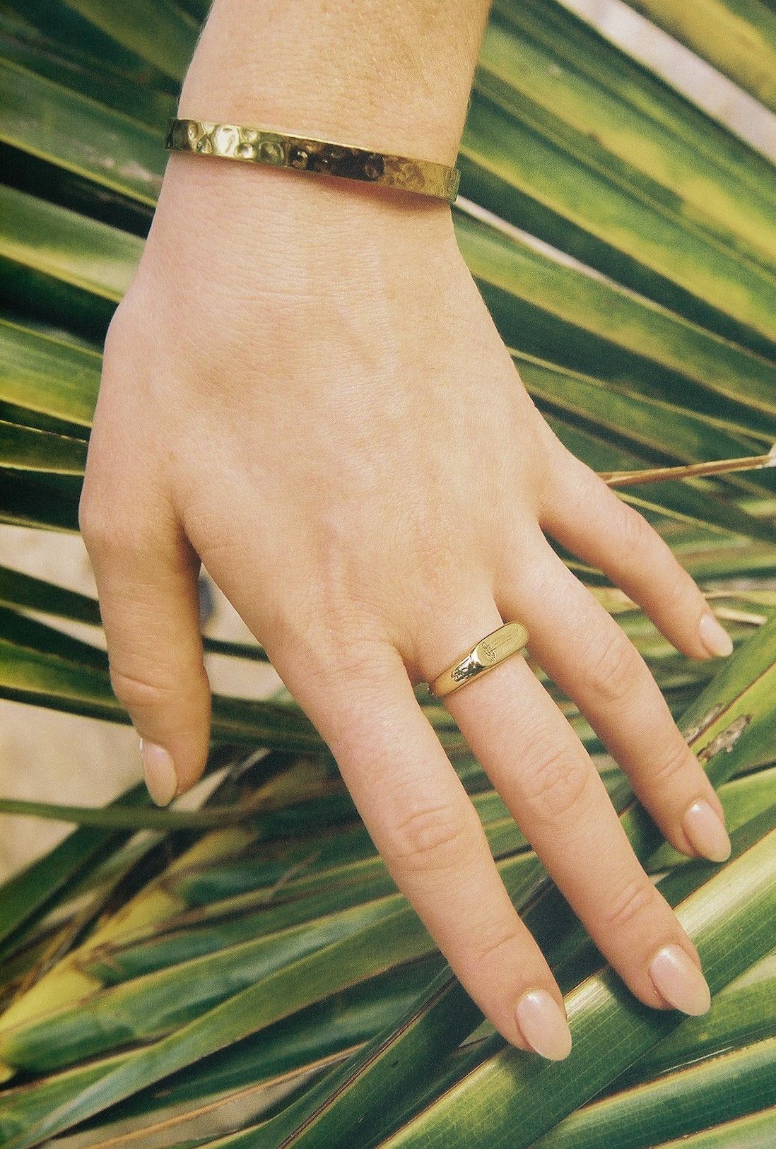 Gold Palmetto Band